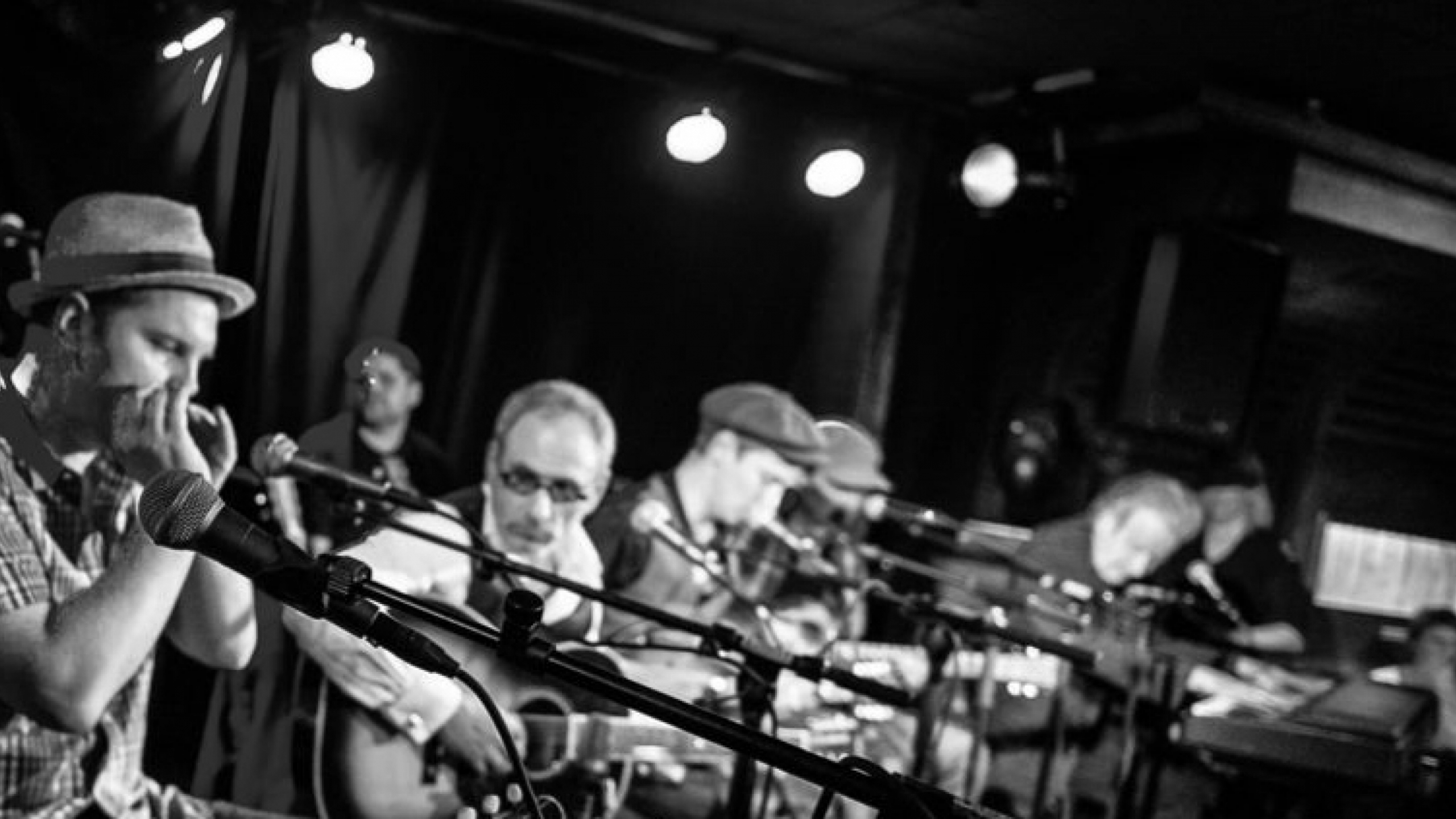 bluesjamboree bluesjamboree